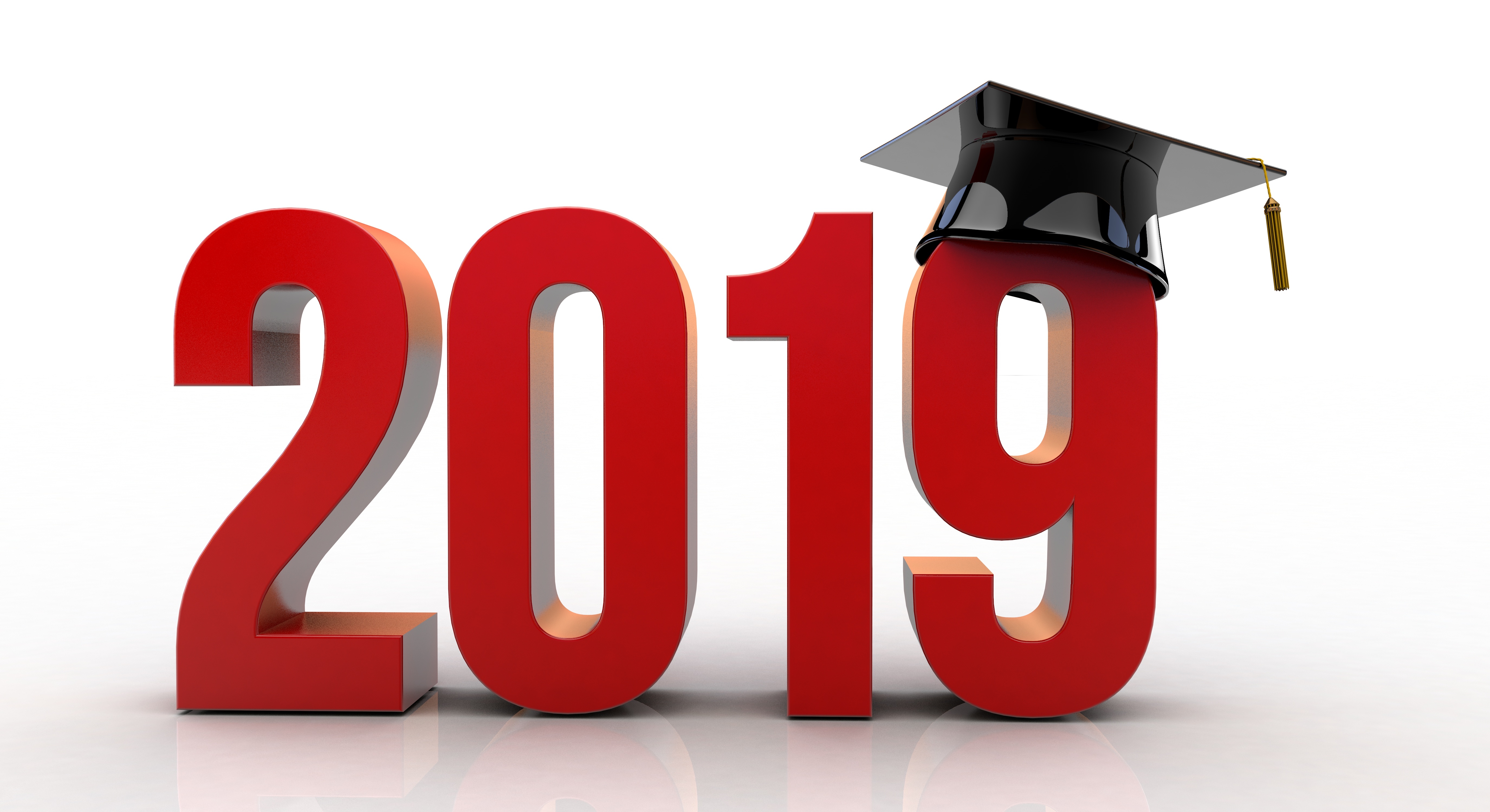 Class of 2019  Senior Fee Information