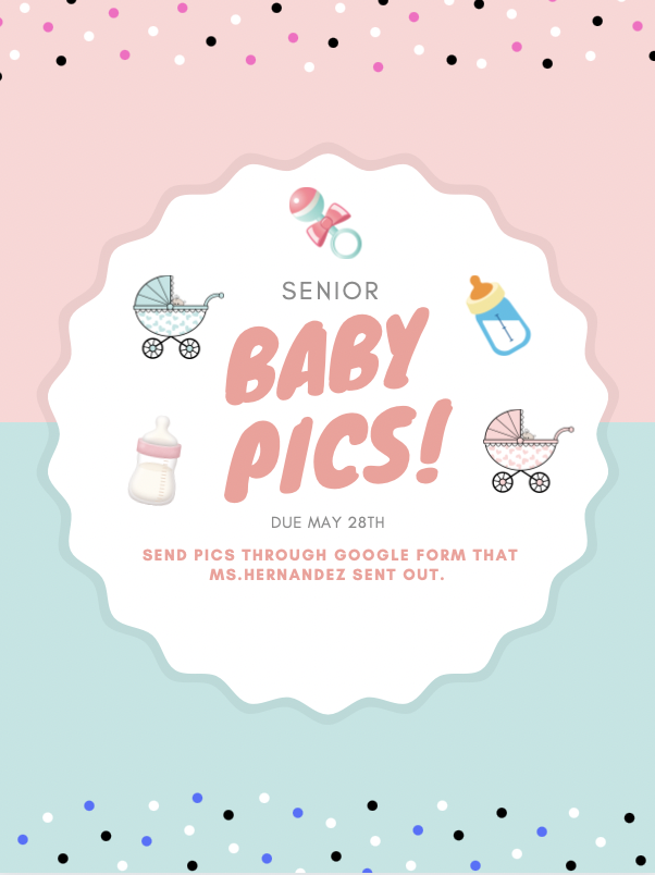 Senior Baby Pictures