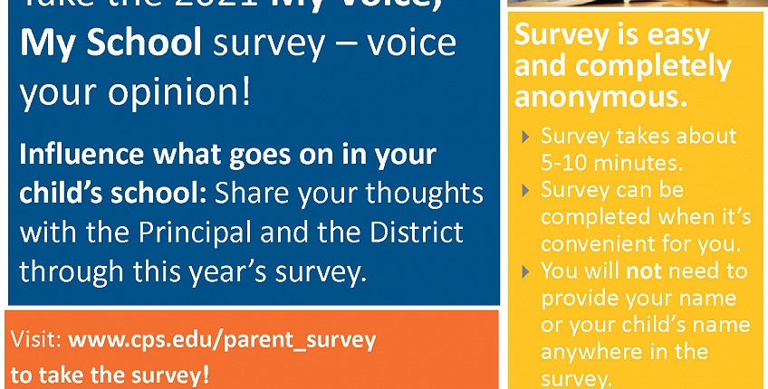 My Voice My School Survey